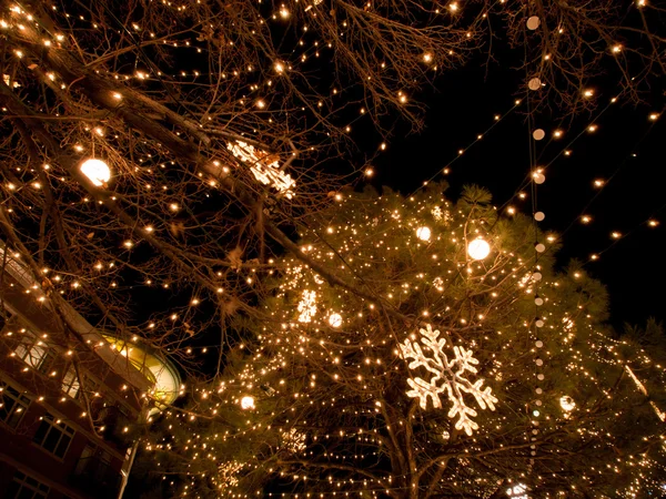 Tree Decorated with Ligths. — Stock Photo, Image