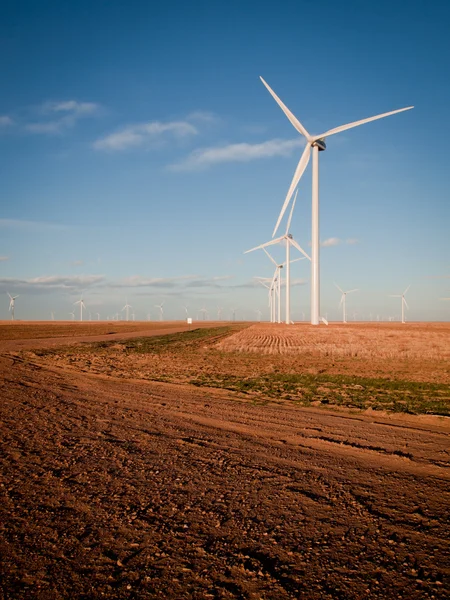 Rüzgar türbinleri çiftliği — Stok fotoğraf