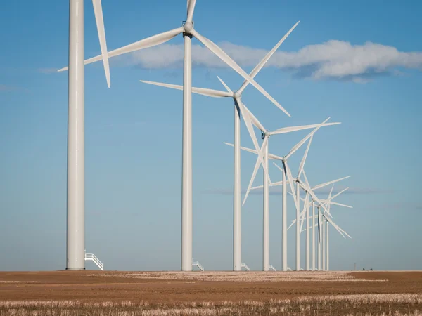 Rüzgar türbinleri çiftliği — Stok fotoğraf