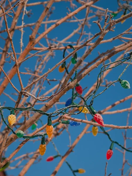 stock image Christmas Lights