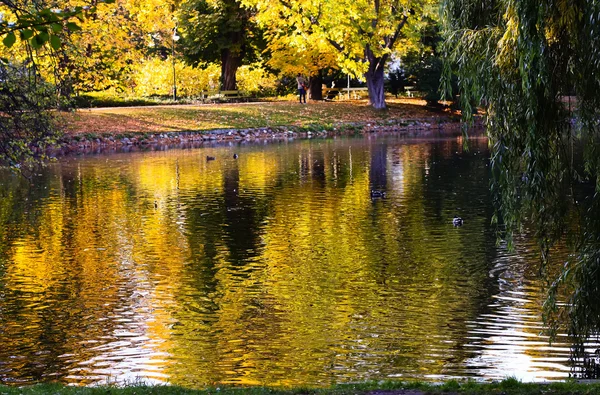 Parco in autunno — Foto Stock