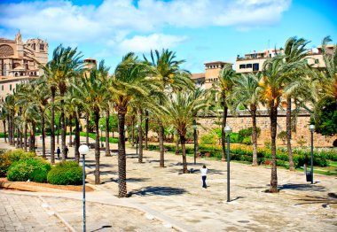 Kathedraal la seu. Palma de mallorca. Middellandse-Zeegebied
