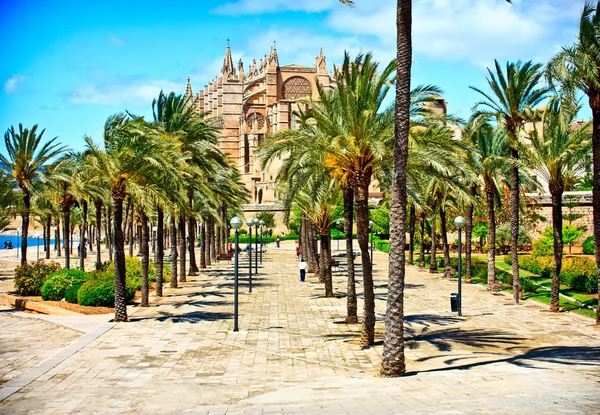 Katedrála z Mallorky v palma de mallorca. Baleárské ostrovy. Španělsko — Stock fotografie