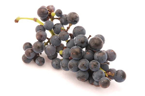 Afryki winogron — Zdjęcie stockowe