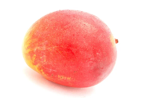 Vers mangofruit — Stockfoto