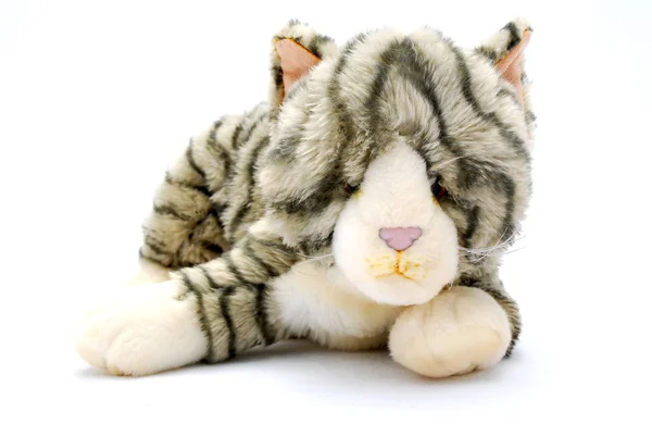 Cat soft toy — Stock Photo, Image
