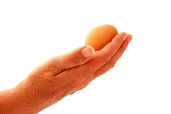 Ręka trzyma jaj — Zdjęcie stockowe