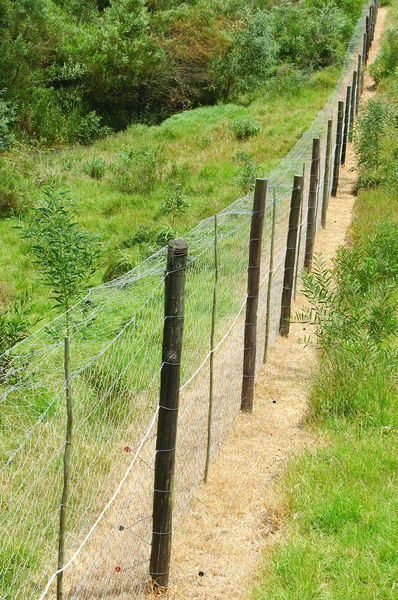 Elektrikli çiti — Stok fotoğraf