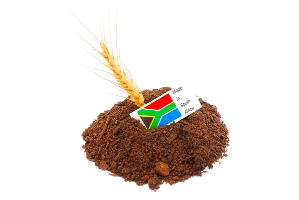 Crescimento da África do Sul — Fotografia de Stock