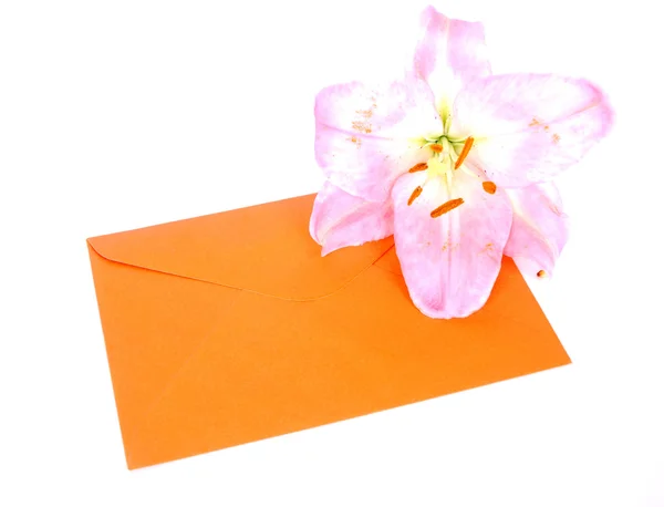 Enveloppe avec fleur — Photo