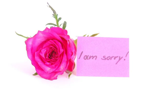 I am sorry concept — Stock Photo, Image
