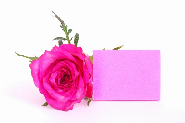 Pink blank paper note with rose — Stock Photo, Image