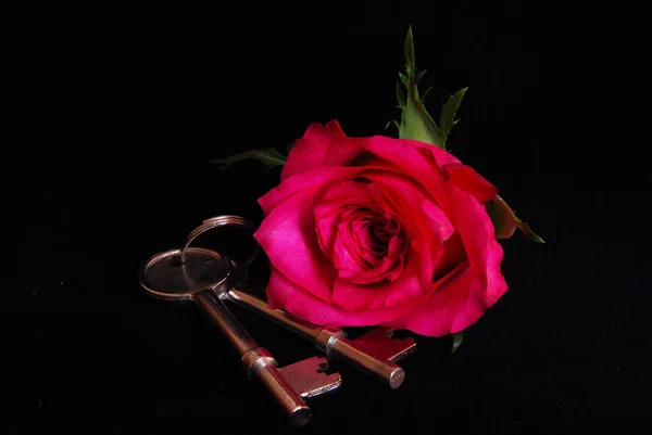 Klucze od domu i róża — Zdjęcie stockowe
