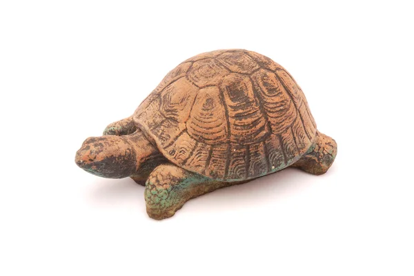 Dekoratív, teknősbéka — Stock Fotó