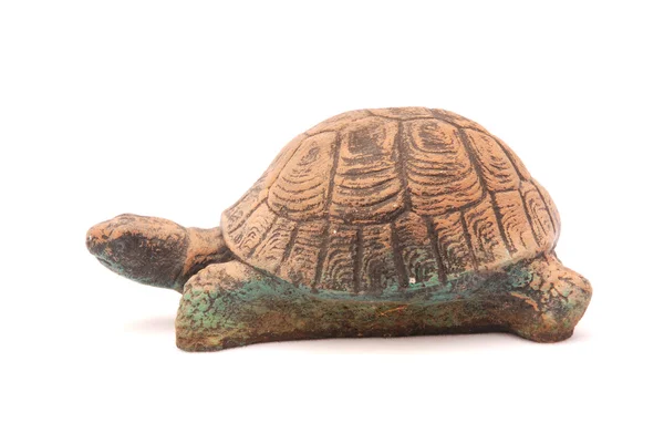 Декоративні черепаха — стокове фото