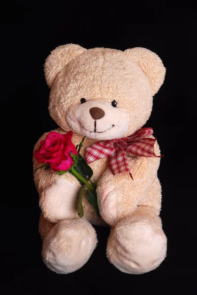 Urso de pelúcia com flor de rosa vermelha — Fotografia de Stock