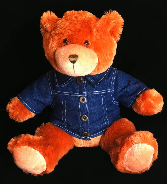 Teddy bear with blue denim shirt — Stock Photo, Image