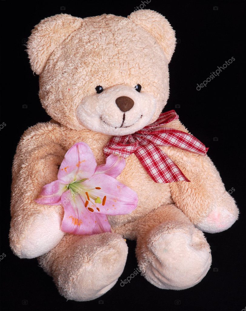 lily teddy bear