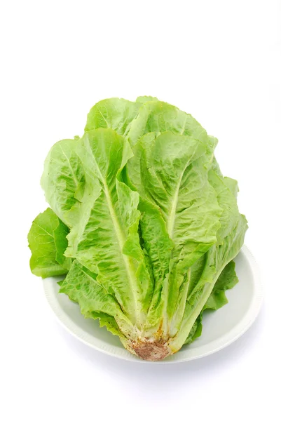 Свіжий салат органічні — стокове фото