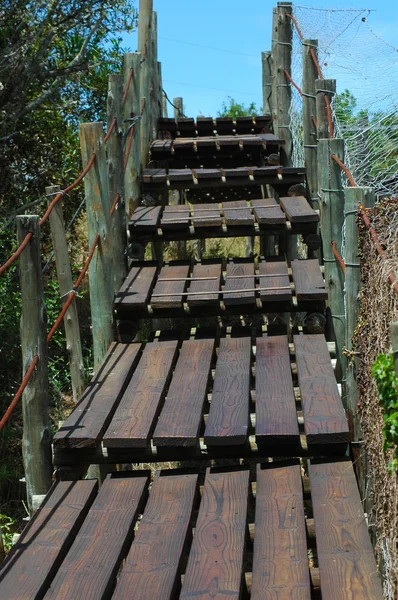 Pod din lemn — Fotografie, imagine de stoc