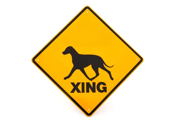 犬の警告サイン — ストック写真
