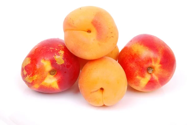 Apricots and peaches — Stock Photo, Image