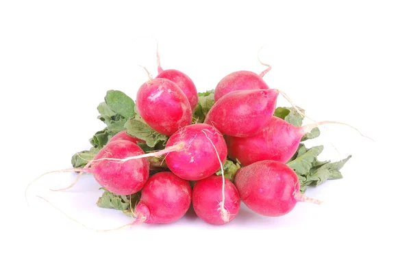 Bunch of radishes — Stok fotoğraf