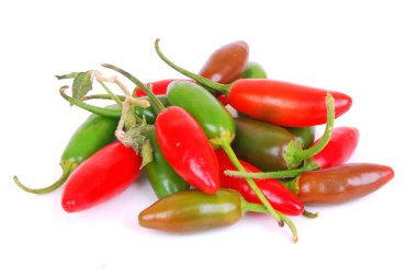Hot peppers clipart