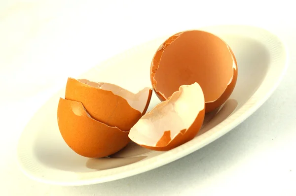 Cascas de ovos — Fotografia de Stock