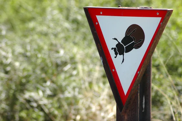 Bugs overschrijding van! — Stockfoto