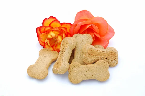 Biscoitos de cachorro com rosas — Fotografia de Stock