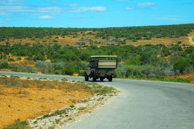 African safari tour