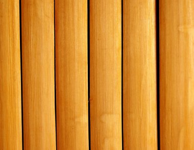 Bambu Arkaplanı