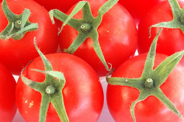 Tomaten in Großaufnahme — Stockfoto