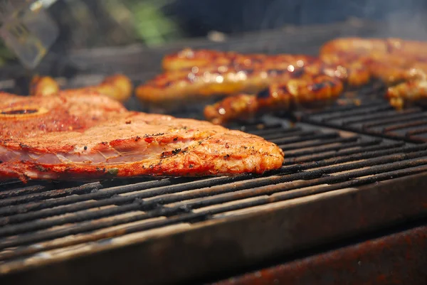 Grilled meat on South African braai — Stock Photo, Image