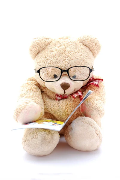 Urso de pelúcia leitura — Fotografia de Stock