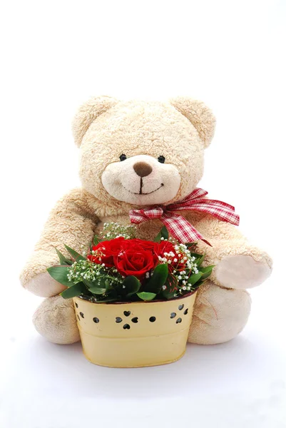 Medvídek s červenou růží — Stock fotografie