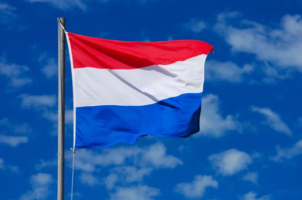 stock image Flag of the Netherlands