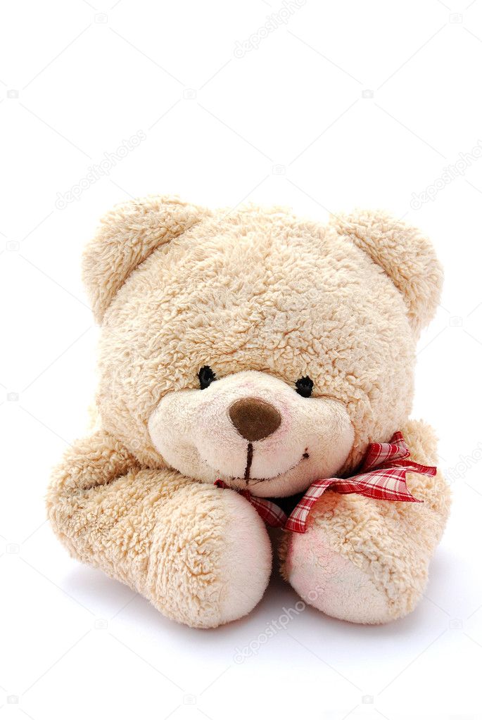 Teddy bear portrait