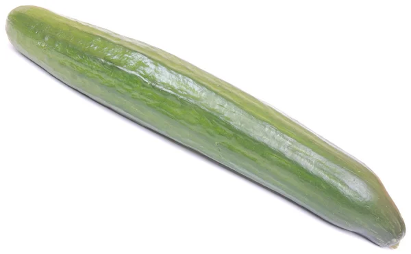 English cucumber — Stock Photo, Image