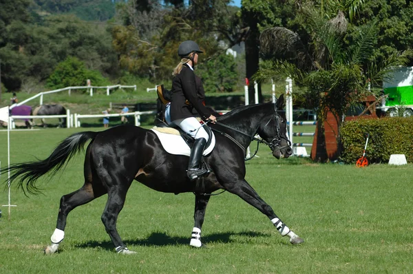 Horse riding sport — Stock Photo, Image