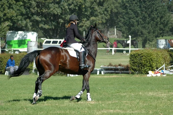 Cavalo equitação mulher — Fotografia de Stock
