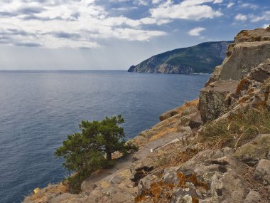 Seaside of Crimea clipart