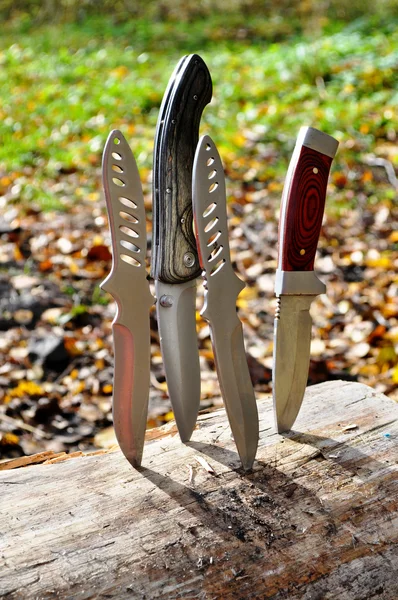 Cuchillos clavados en un tronco —  Fotos de Stock