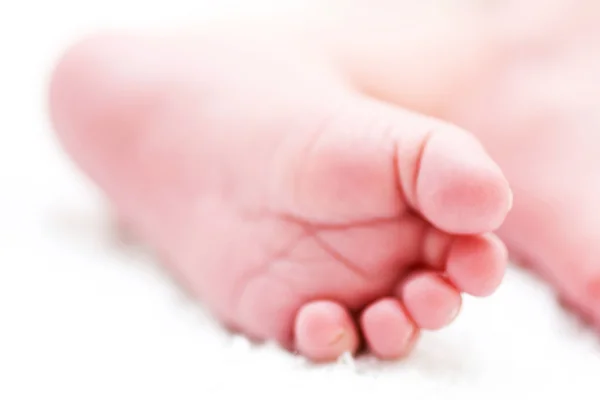 stock image Close up of baby feet