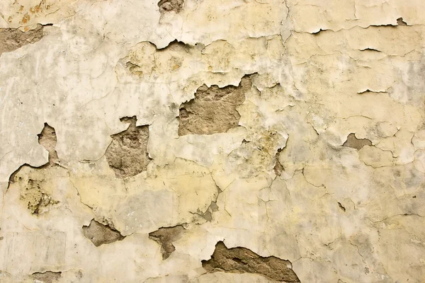 stock image Rough wall texture