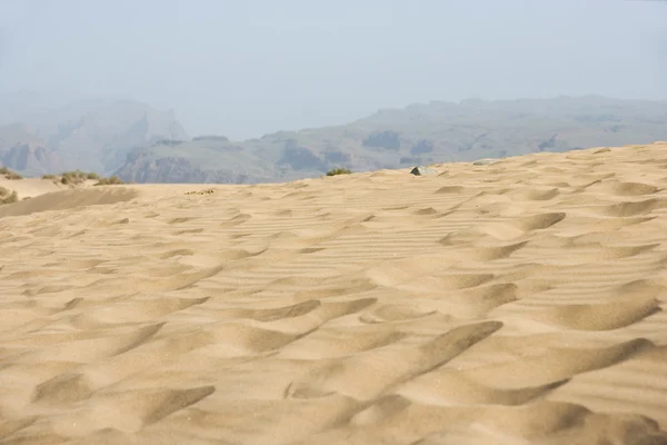 사막 풍경 — 스톡 사진