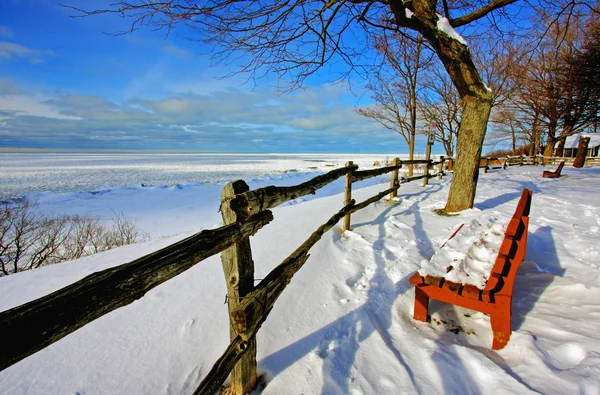 stock image Winter Scene at a Lake