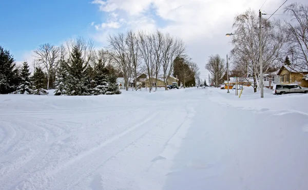 stock image Winter Landscape