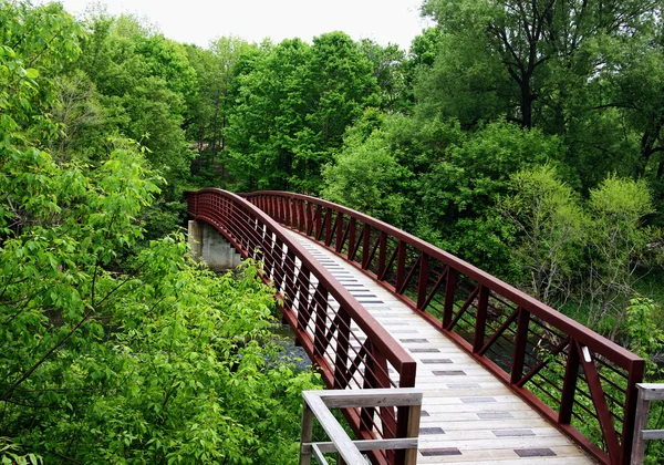 Holzbrücke in den Wald — Stockfoto